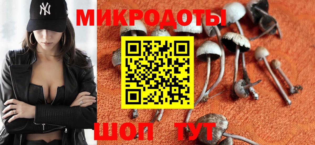Псилоцибиновые грибы мицелий  Вход с VPN  что такое   Кириши  Галлюциногенные грибы ЛСД 