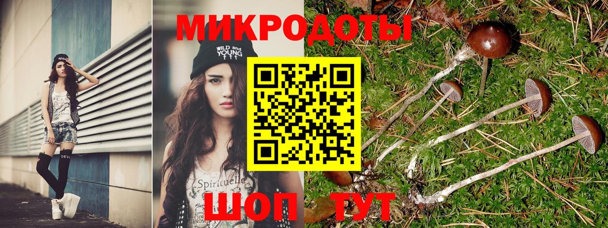 Галлюциногенные грибы Cubensis Кириши